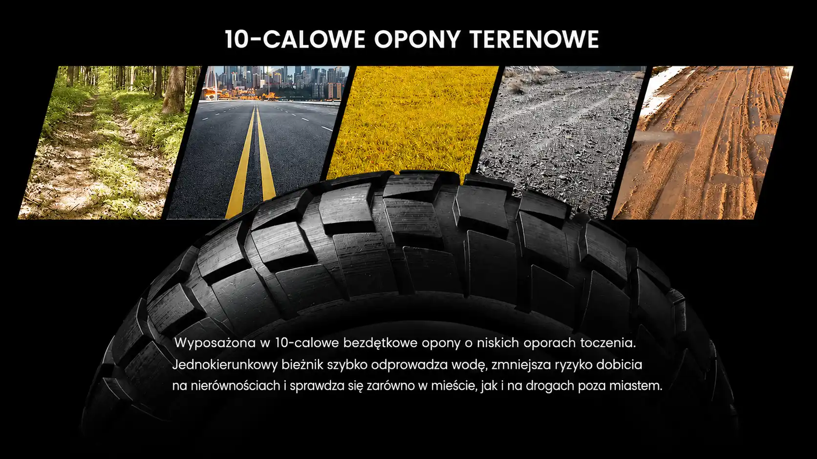 10-calowe opony terenowe iSinwheel D1